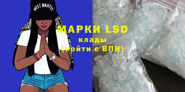 прущие грибы Новодвинск